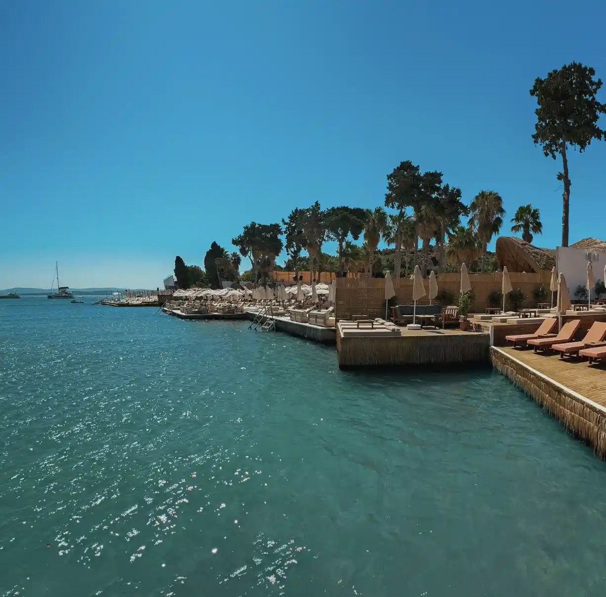 Cove Ayayorgi - İyi Masa