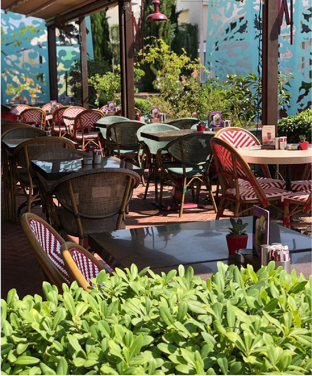 Mandolin Cafe - İyi Masa