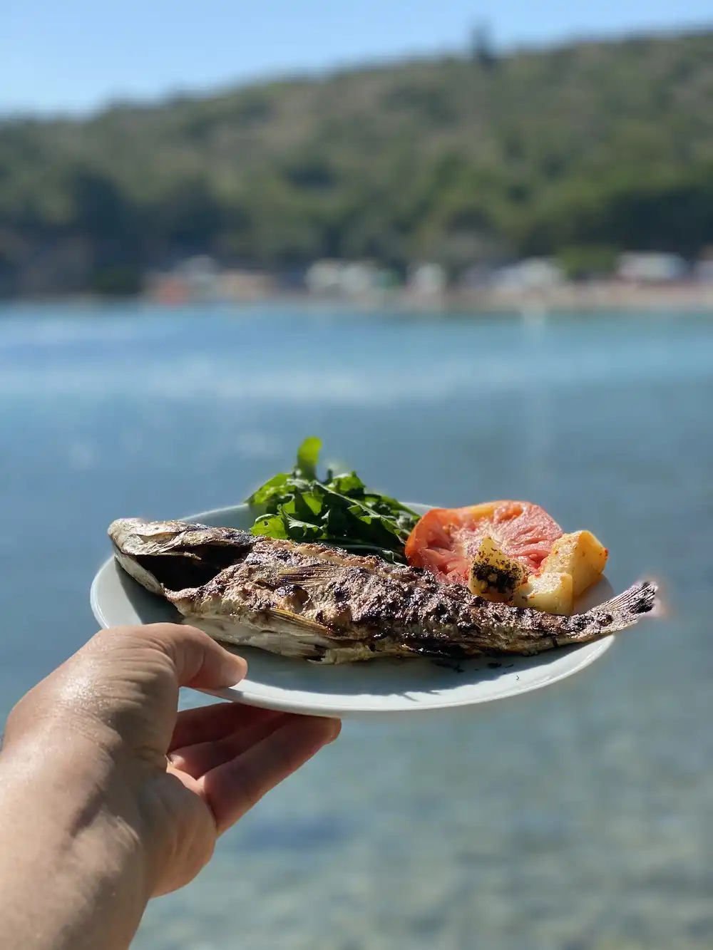 Manzara Restaurant Balıklıova - İyi Masa