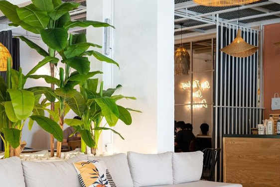 Nope Coffee Company - İyi Masa