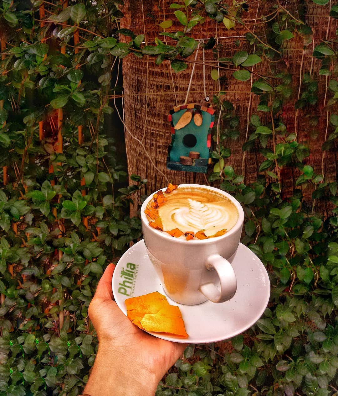 Philia Lifestyle & Coffee Co. - İyi Masa