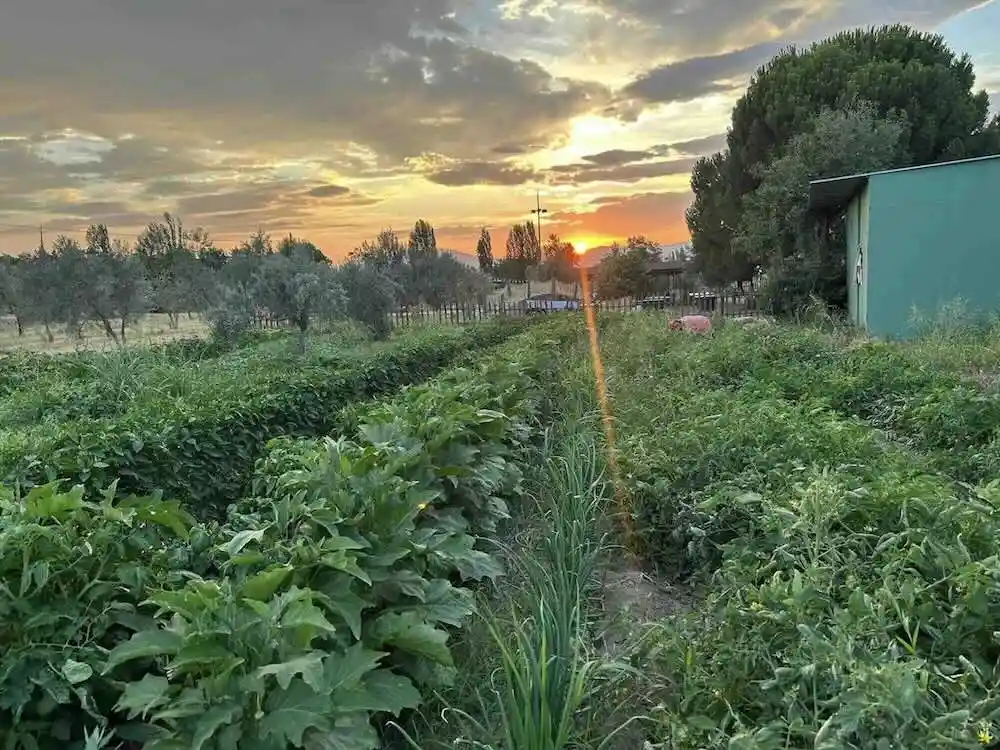 Taşkemer Kahvaltıevi Kınık - İyi Masa