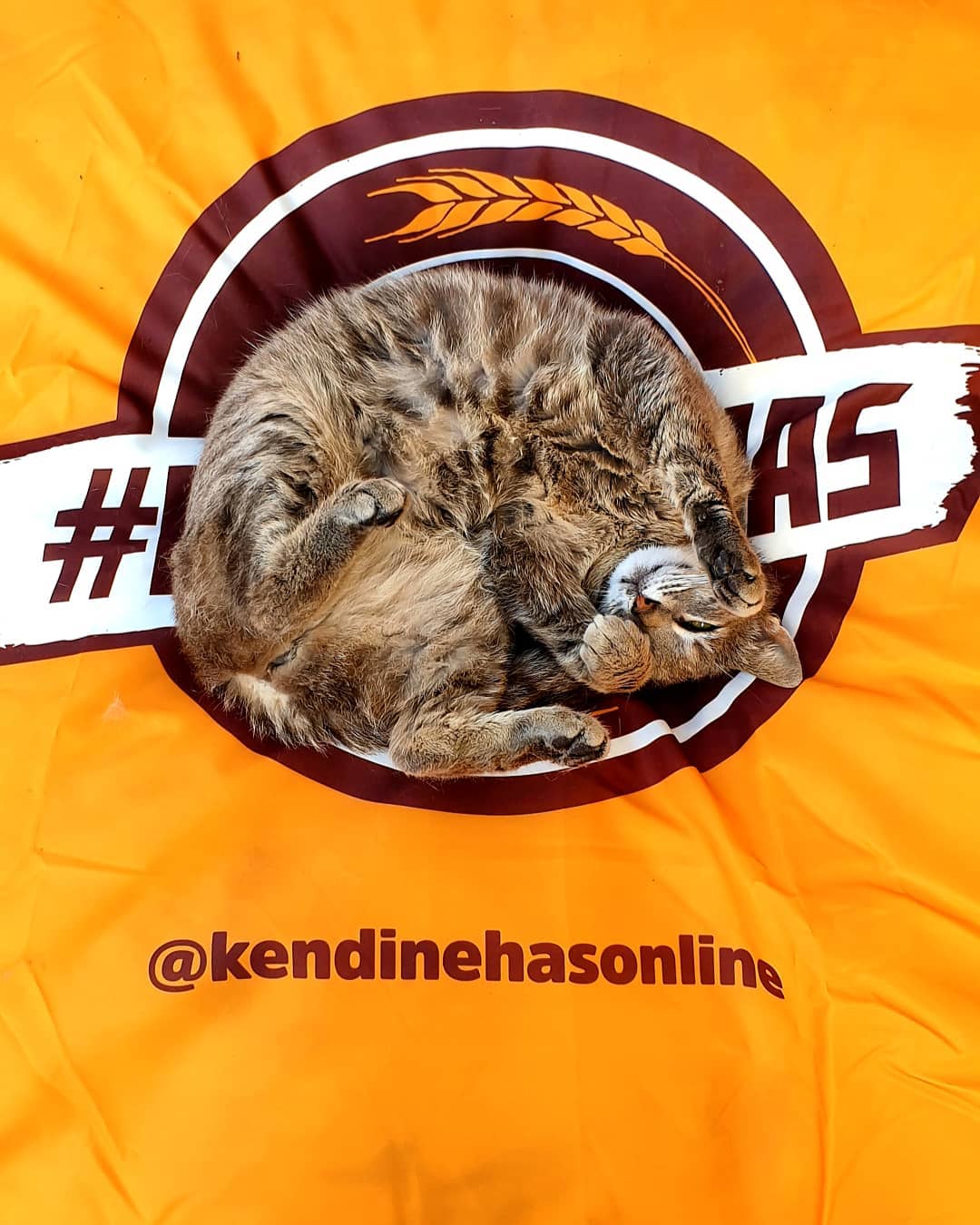 Aniden Bastıran Sıcağa Karşı #kendinehas Çözümler!  | İzmir Mekan Rehberi