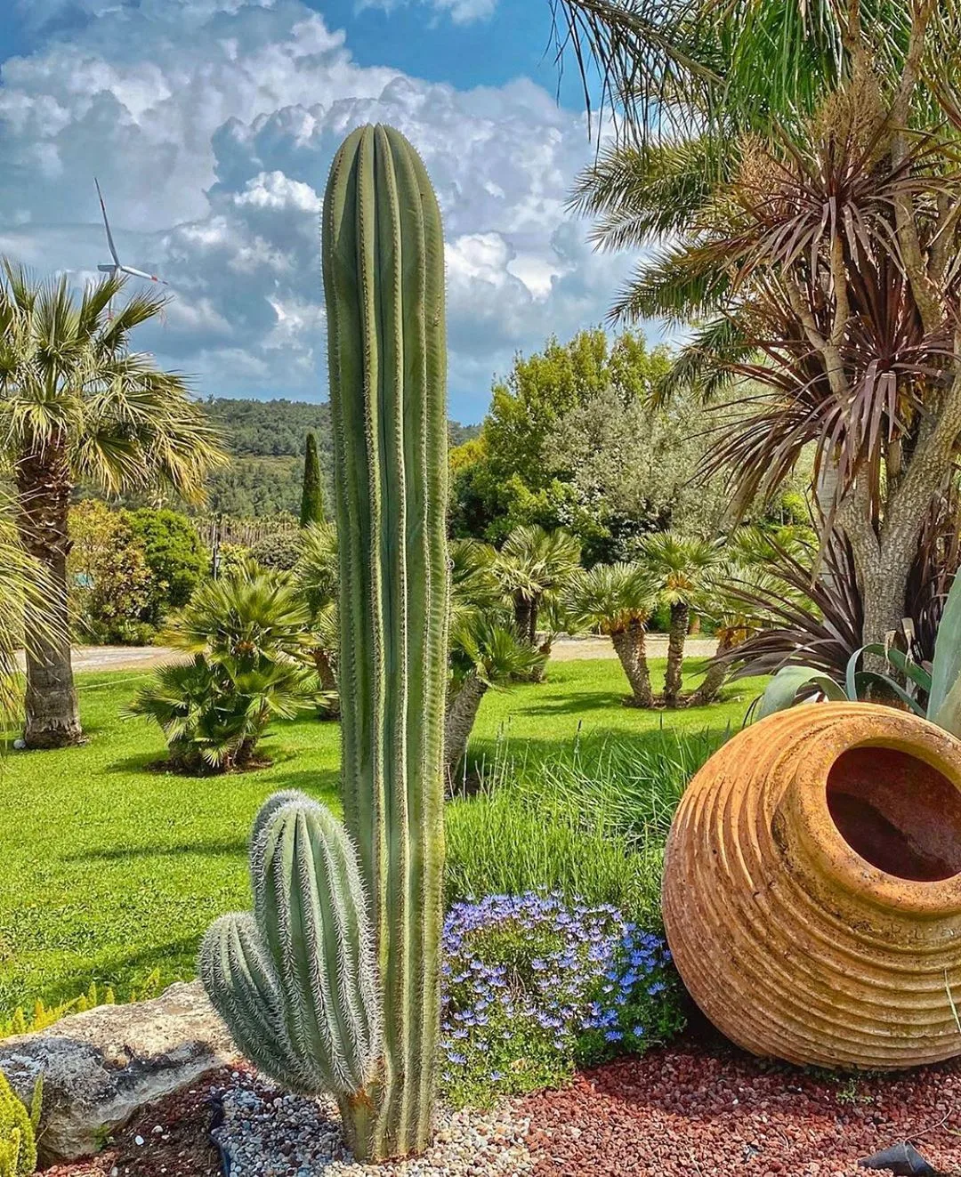 Yeşil Tutkunlarına Özel 'Uzbaş Arboretum' | İzmir Mekan Rehberi