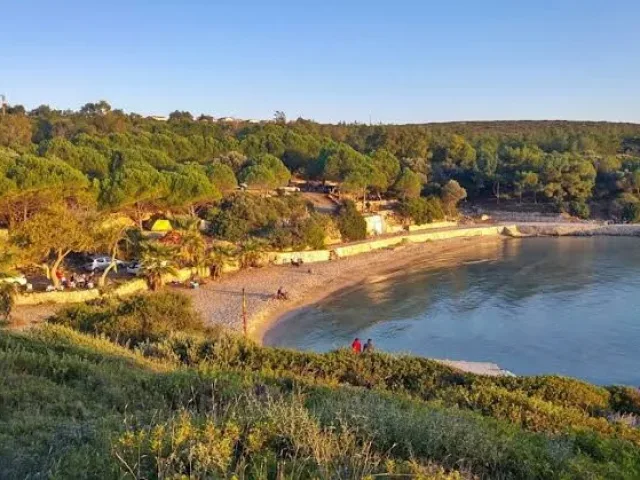 Teos Orman Kampı
