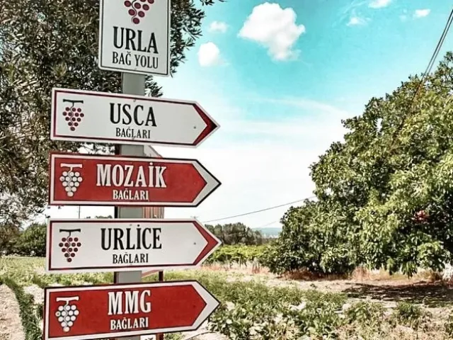 Bağ Yolu - Urla