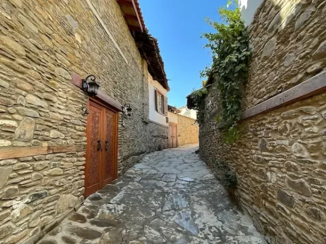 1. Birgi