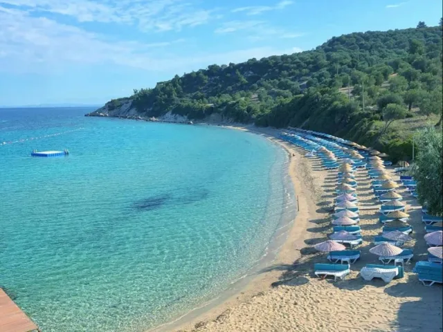 Dikili Bademli Koyuna Git
