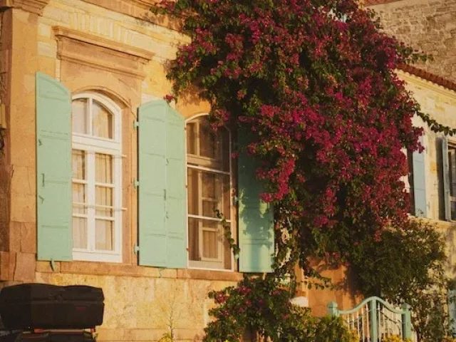 4. Foça