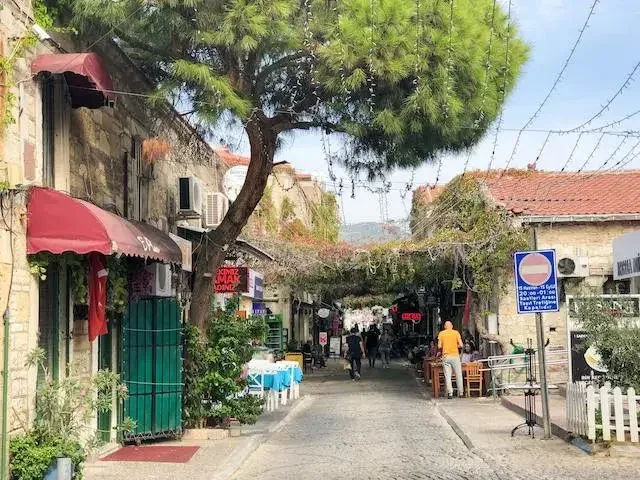 Foça’da Tarihi Keşif ve Sahil Yürüyüşü: