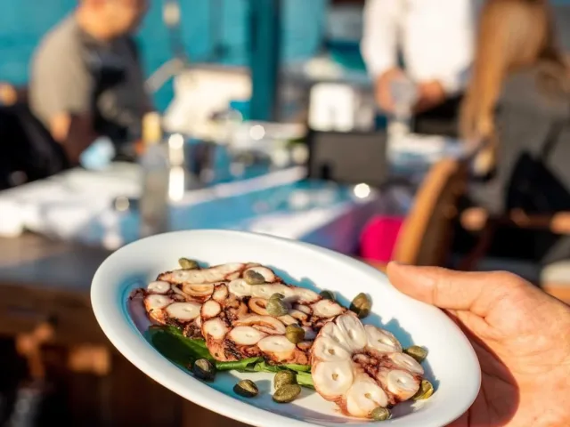 Çeşme Programının Olmazsa Olması Dalyanköy Balıkçısı