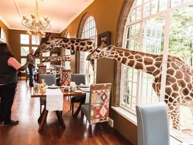 Zürafa Malikhanesi (Giraffe Manor), Nairobi, Kenya