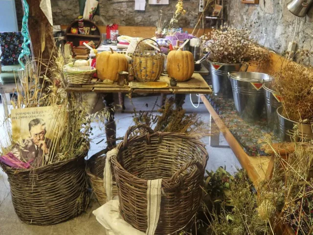 5. Hobbit House Barbaros – Urla / Barbaros Köyü