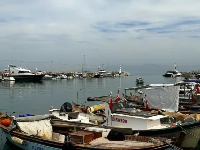 Doğada Sessiz Bir Kaçış