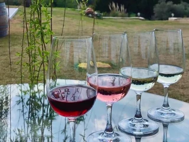 4. Şarap Tadımı ve Gastronomi Turları