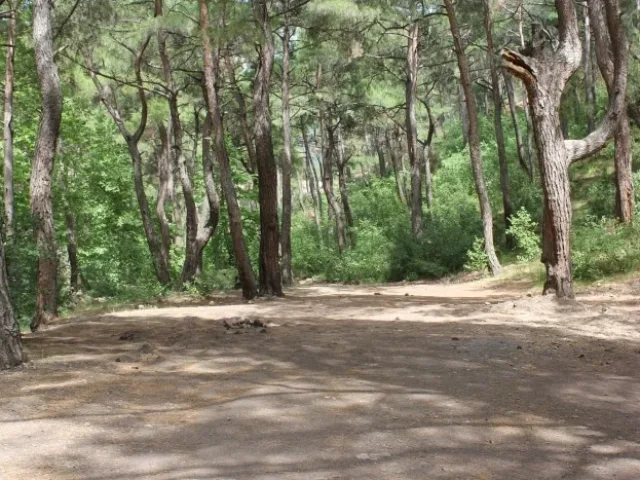 Dereköy Kamp Alanı, Kemalpaşa