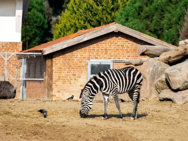 2. Sasalı Doğal Yaşam Parkı