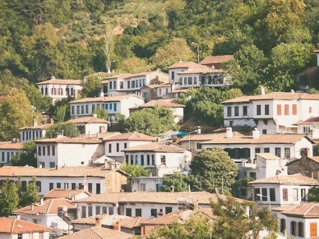 2. Şirince