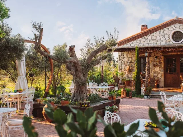2. Vino Locale