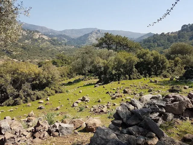 1. Yamanlar Dağı