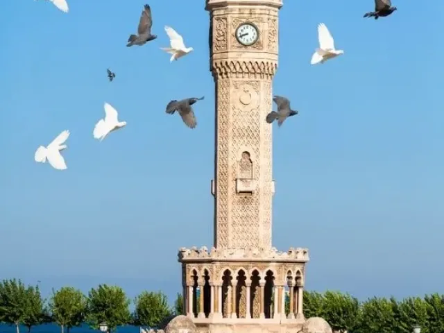 Şehrimizi Daha Temiz ve Mutlu Tutmak İçin Neler Yapmamalıyız?