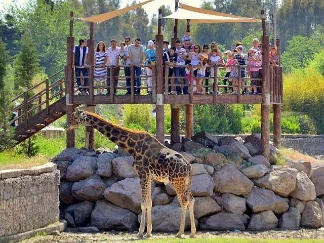 Doğayla İç İçe Gezinti Doğal Yaşam Parkı