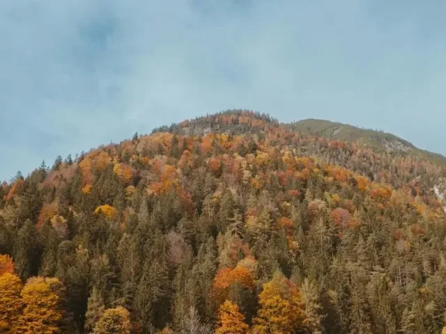 Sonbahara Zinde Başlamanın Yolları