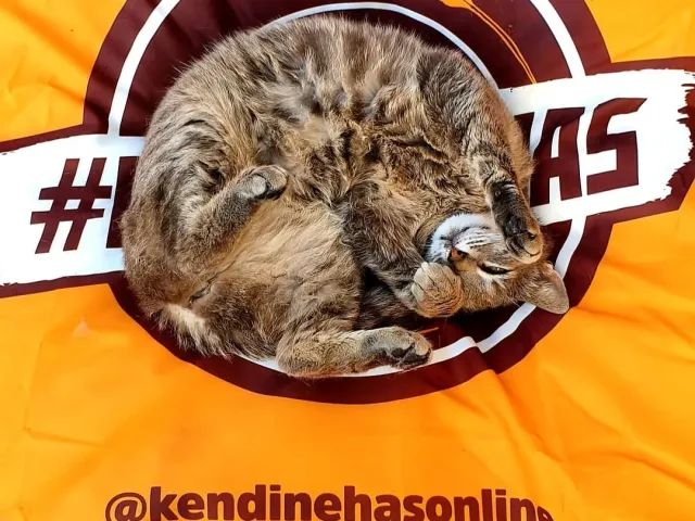 Aniden Bastıran Sıcağa Karşı #kendinehas Çözümler!