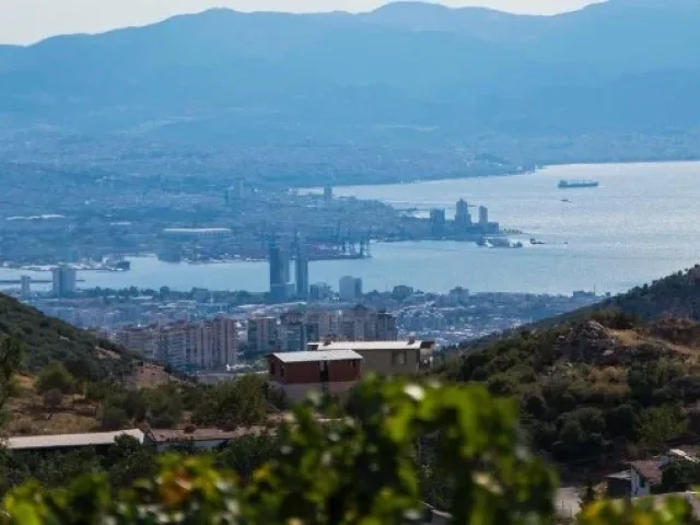 Selera Restaurant’ta Doğanın Kalbinde Lezzet Yolculuğu