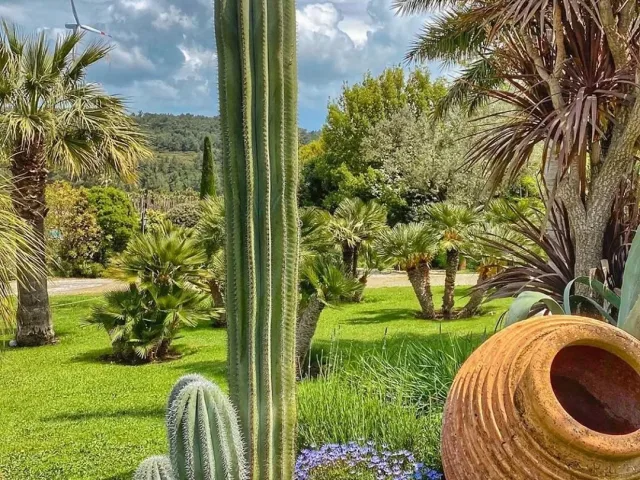 Yeşil Tutkunlarına Özel 'Uzbaş Arboretum'