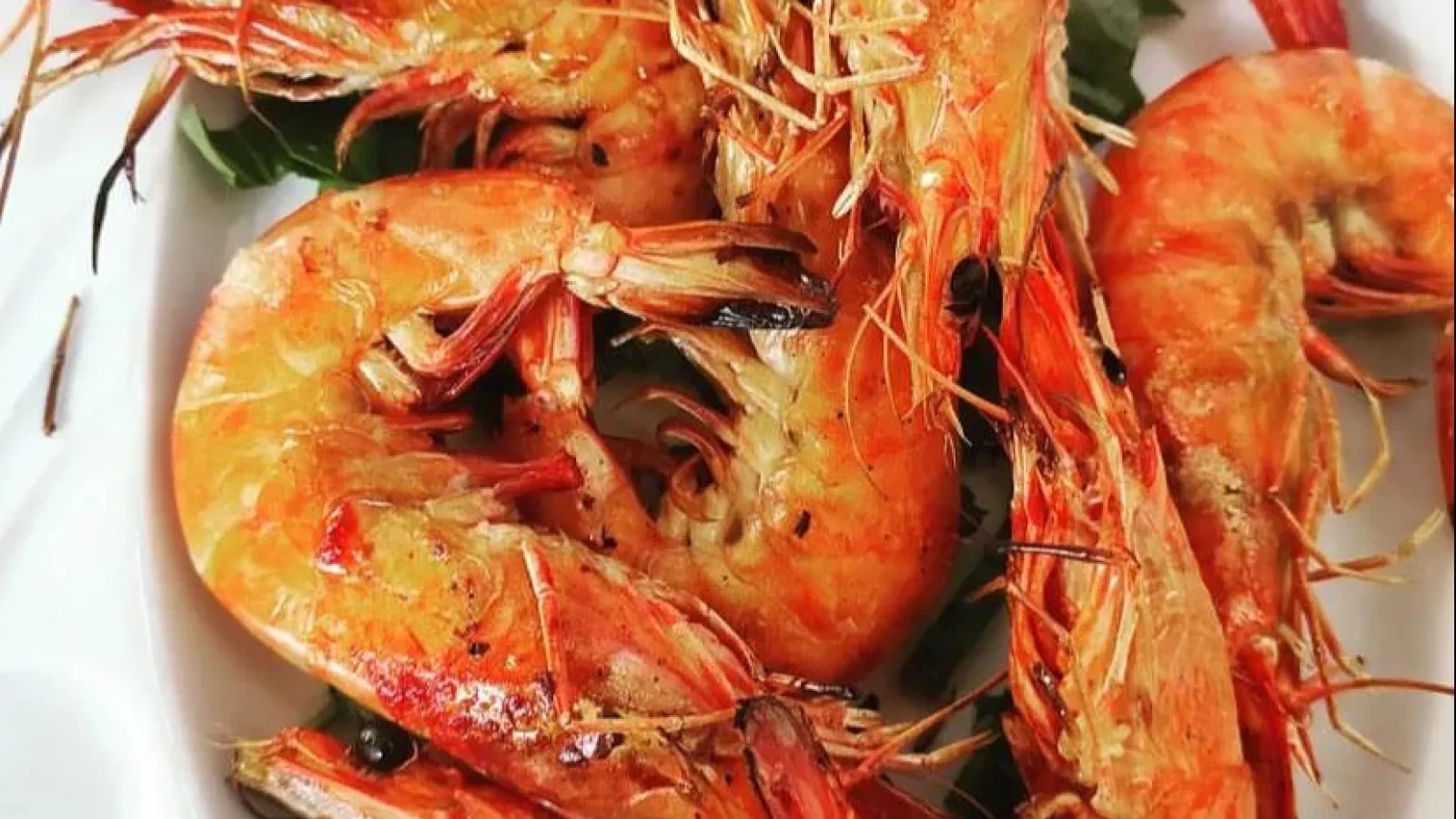 Sığacık Limanda Bir Balıkevi Çakoz Balıkevi