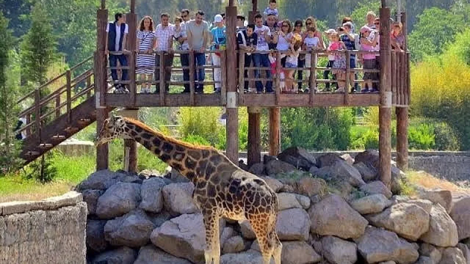 Doğayla İç İçe Gezinti Doğal Yaşam Parkı