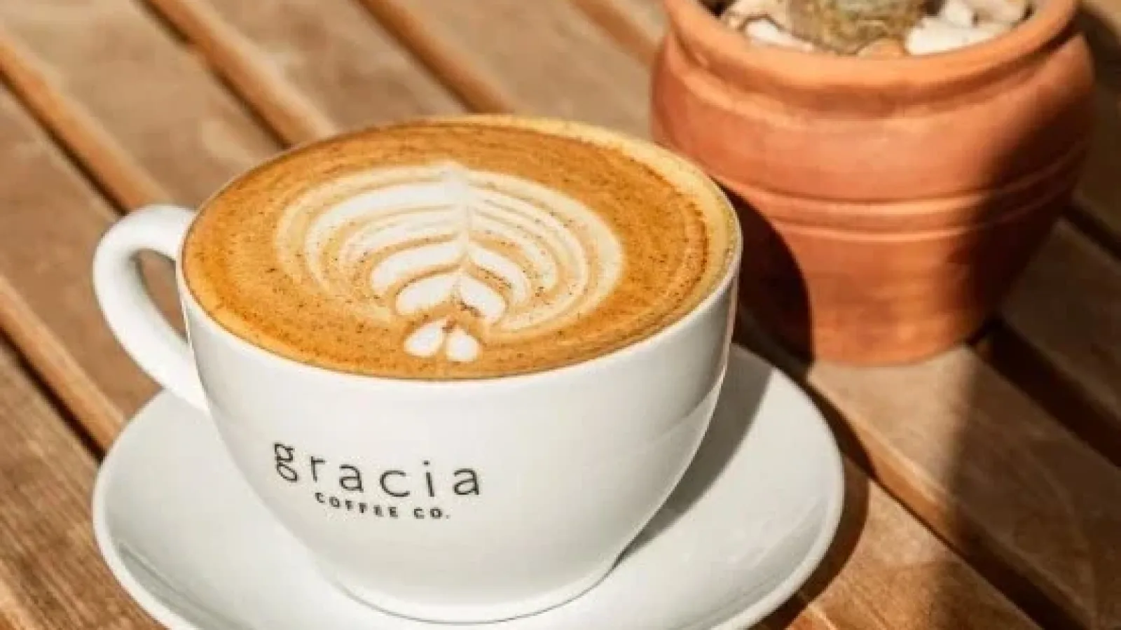 Gracia Coffee Co.: Kahve Aşkına Yeni Bir Yön Veren Lezzet Deneyimi