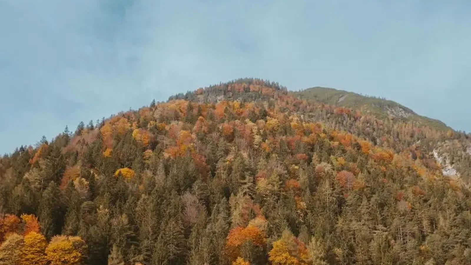 Sonbahara Zinde Başlamanın Yolları