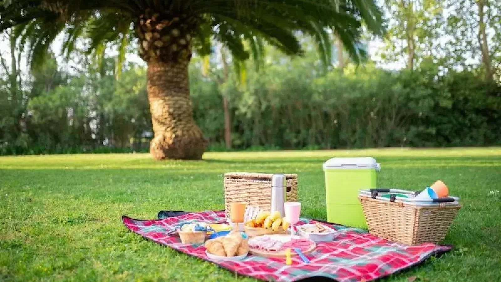 İzmir’de Sonbahar Piknik Noktaları