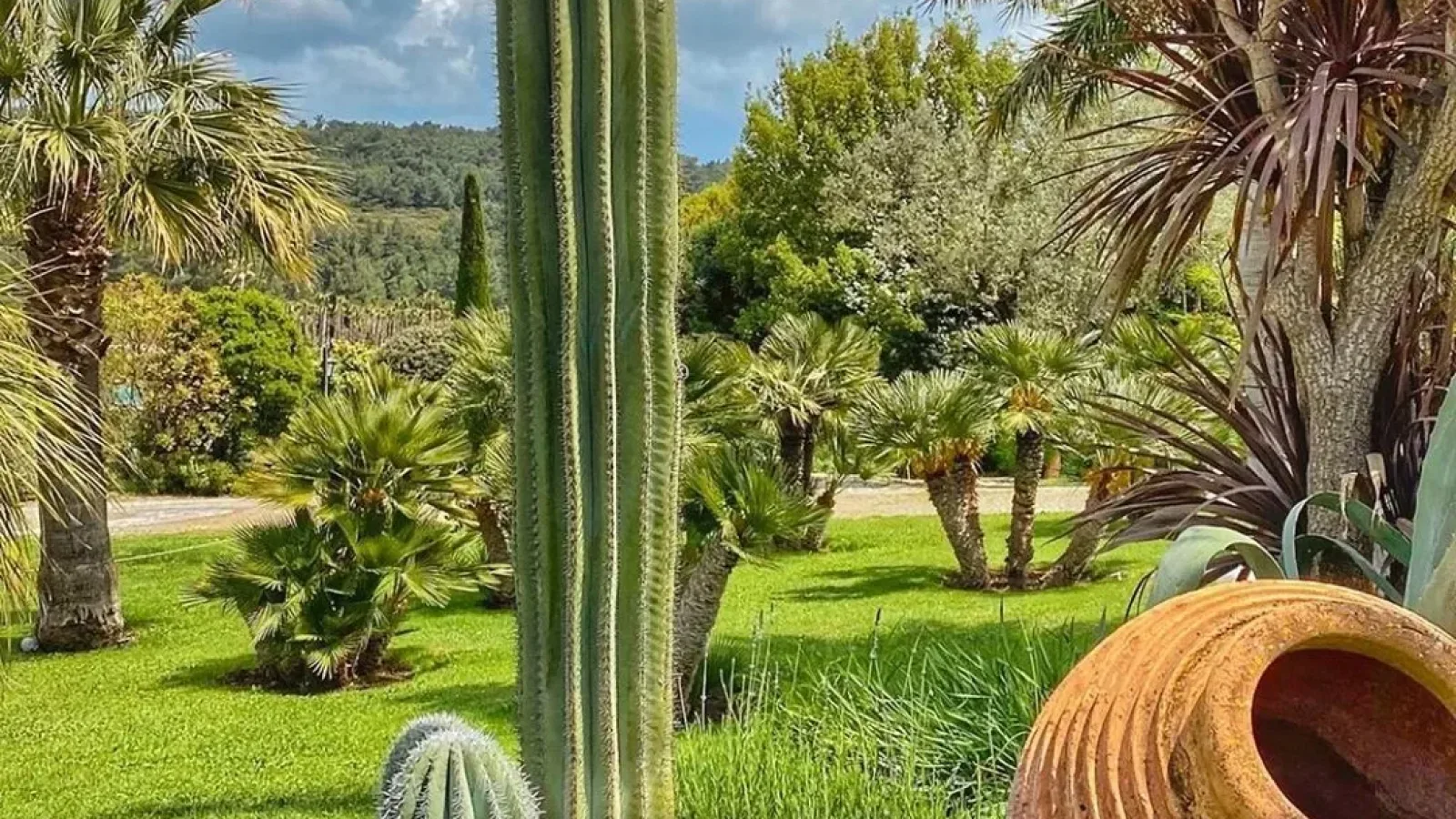 Yeşil Tutkunlarına Özel 'Uzbaş Arboretum'