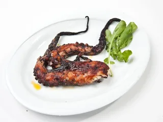 Rokfor Soslu Balık