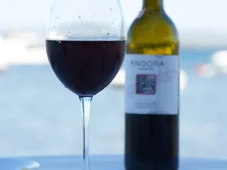Akgün Balık Gülbahçe