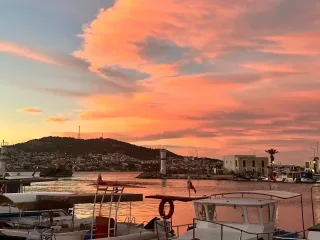 Orfoz Restaurant Yeni Foça